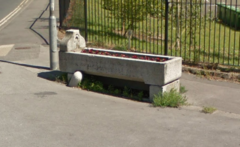 Elphinstone Road Horse Trough c2019